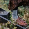52 Weeks of Socks