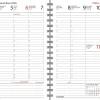 Agenda, ruusukulta 2026