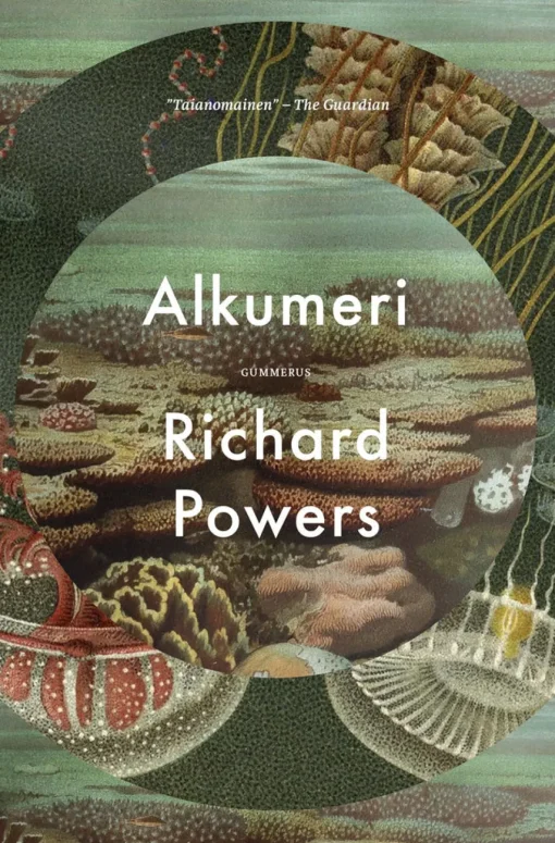 Alkumeri
