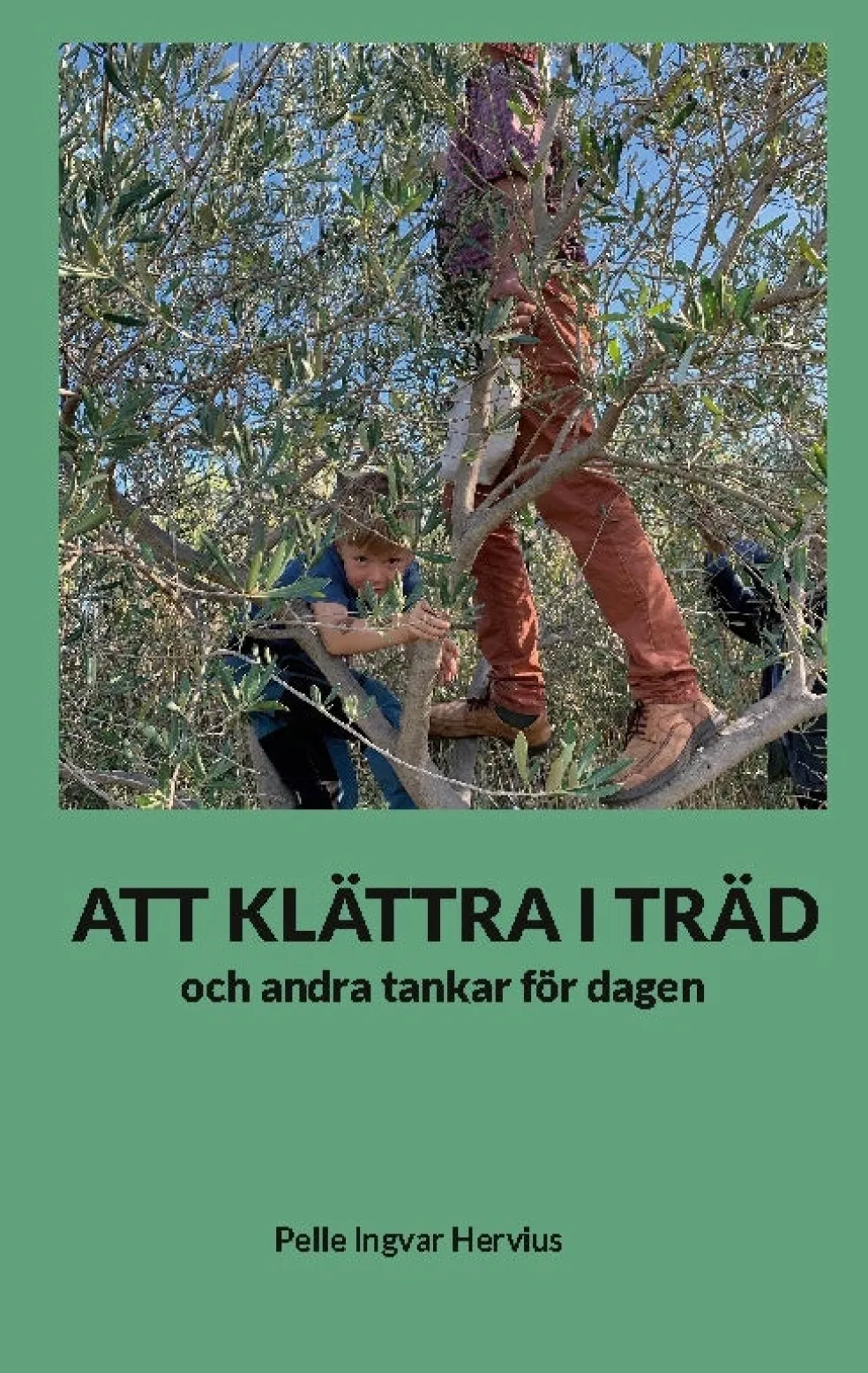 ATT KLÄTTRA I TRÄD : och andra tankar för dagen