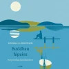 Buddhan hipaisu