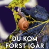 Du kom först igår