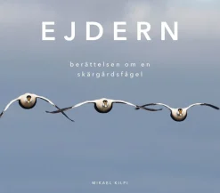 Ejdern