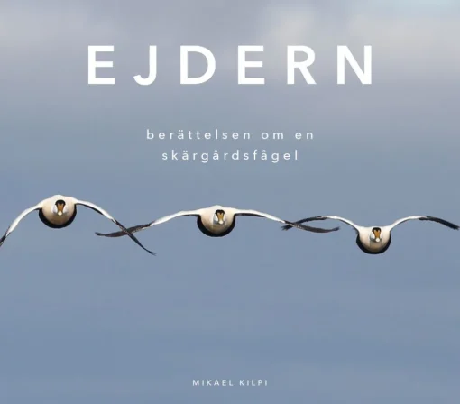 Ejdern
