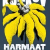 Harmaat mehiläiset
