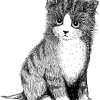 Heijastin Vallila Kitties Pentu