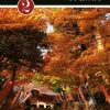 Japanin kielen alkeet 2
