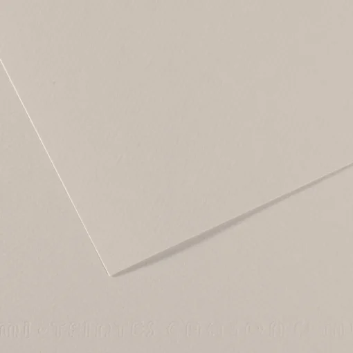 Kartonki A4/25 kpl 120 Pearl Grey 160g Canson Mi-Teintes