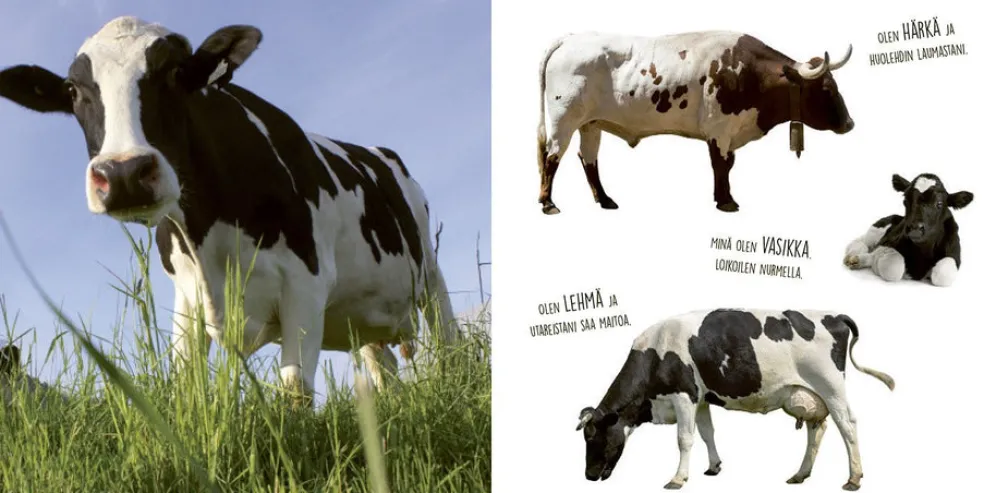 Katso ja tutustu: Maatilan eläimiä