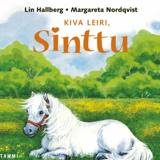 Kiva leiri, Sinttu