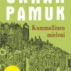 Kummallinen mieleni