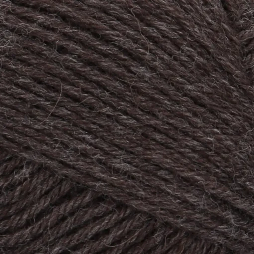 Lanka Novita Wonder Wool 50g 0664 korvasieni