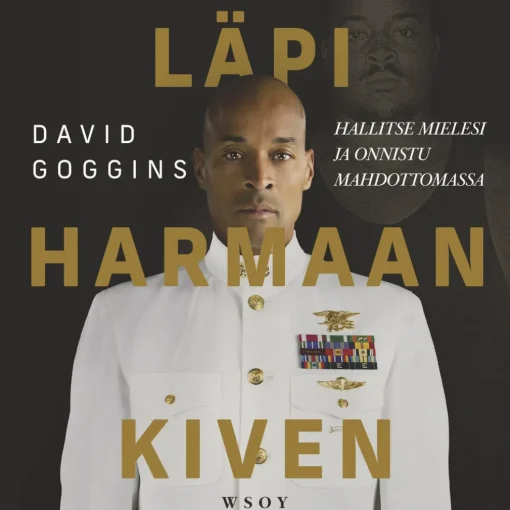 Läpi harmaan kiven