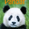 Luen itse - Pandat