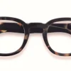 Lukulasit Izipizi Tortoise C +2.00