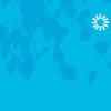 Memo-viikkomuistio, sininen 2026