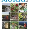 Mökkikirja