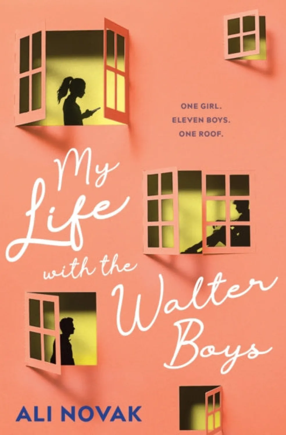 My Life with the Walter Boys