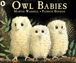 Owl Babies
