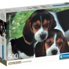 Palapeli 500 palaa Close Together- Compact