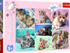 Palapeli 100 palaa In the cats world