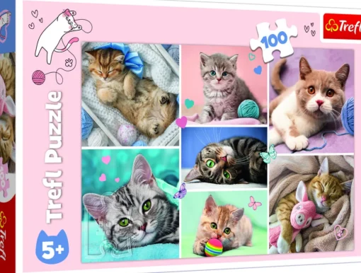 Palapeli 100 palaa In the cats world