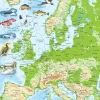 Palapeli Larsen Euroopan kartta Maxi
