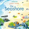 Peep Inside the Seashore