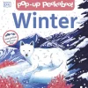 Pop-up Peekaboo! Winter