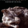 Sudentaival