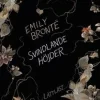Svindlande höjder (lättläst)