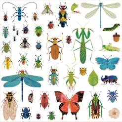 Tarrasetti ötökät Djeco