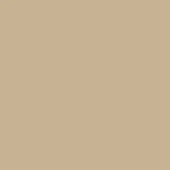 Tekstiiliväri Rit Dye 236 ml Taupe 34