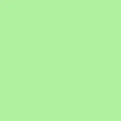 Tekstiiliväri Rit Dye 236 ml Neon Green 21