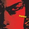 Vagabond (VIZBIG Edition), Vol. 1