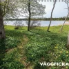 Väggficka 2026
