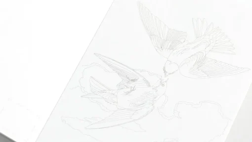 Väritettävä postikorttisetti Pepinpress Natural History