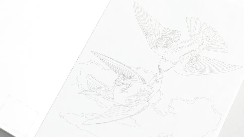 Väritettävä postikorttisetti Pepinpress Natural History