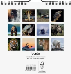 Wild animals 2026